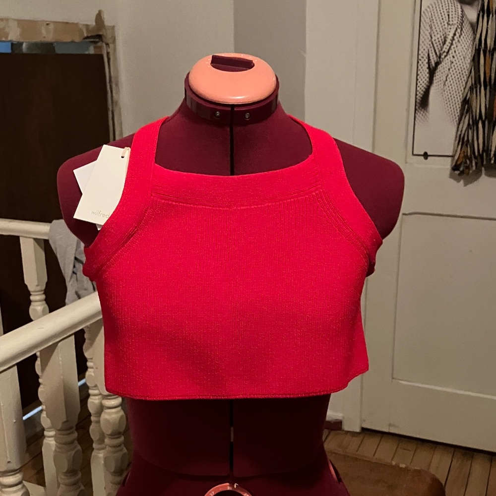 ✨Wilfred Bold Red Crop Top